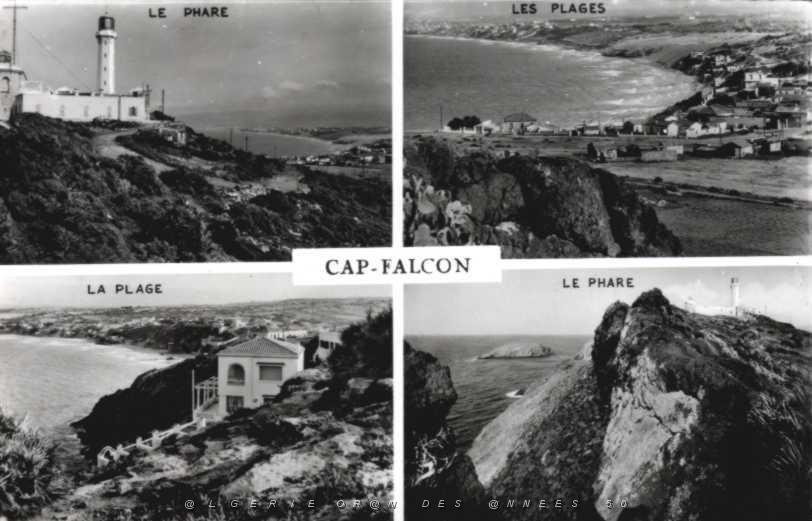 CO i- 38- Cap Falcon.jpg